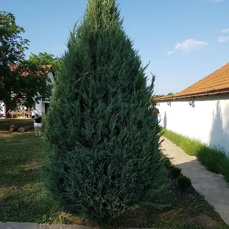 Vikendica Lesic * Cortanovci